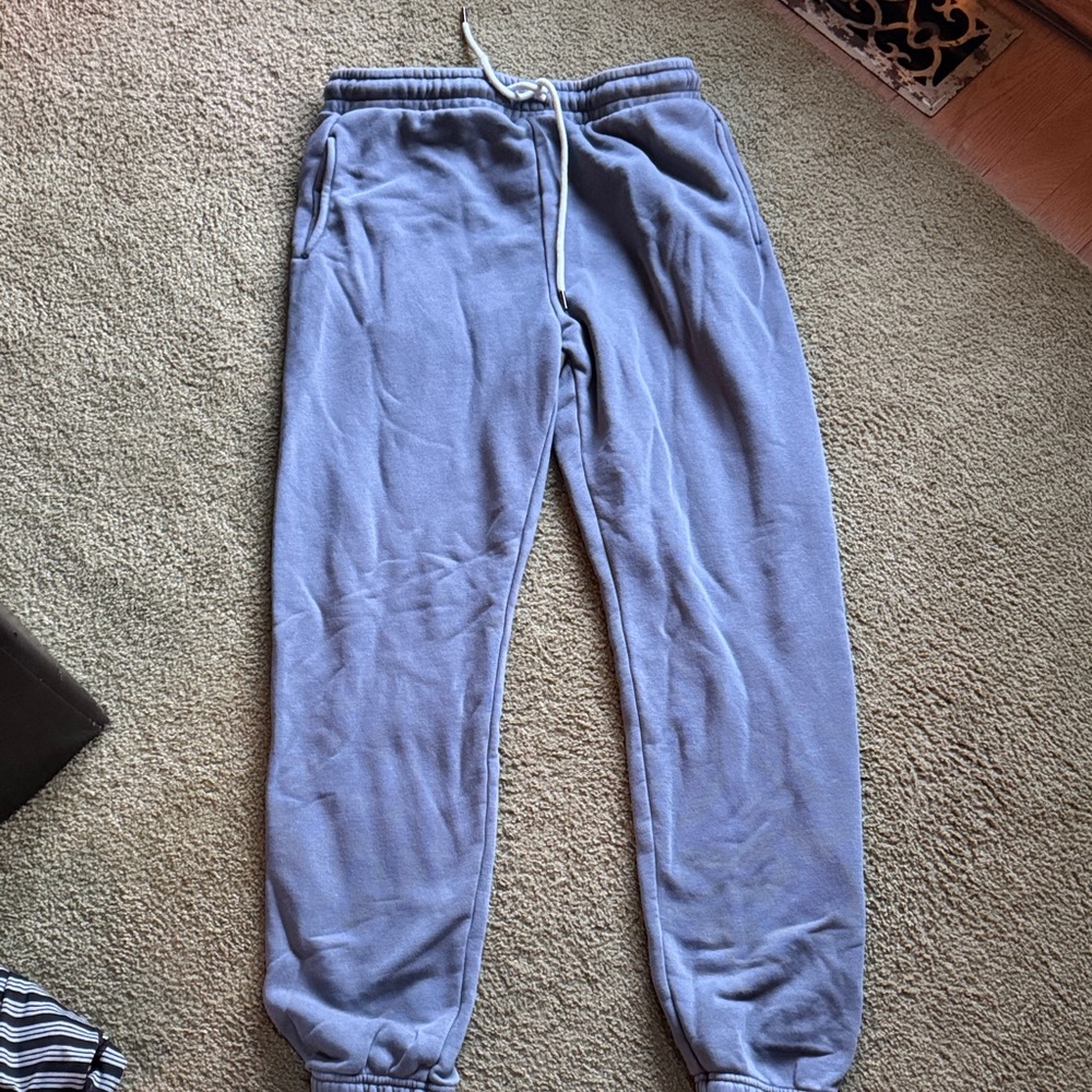 Z Supply Light Blue Joggers
